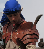 Caranthyr
